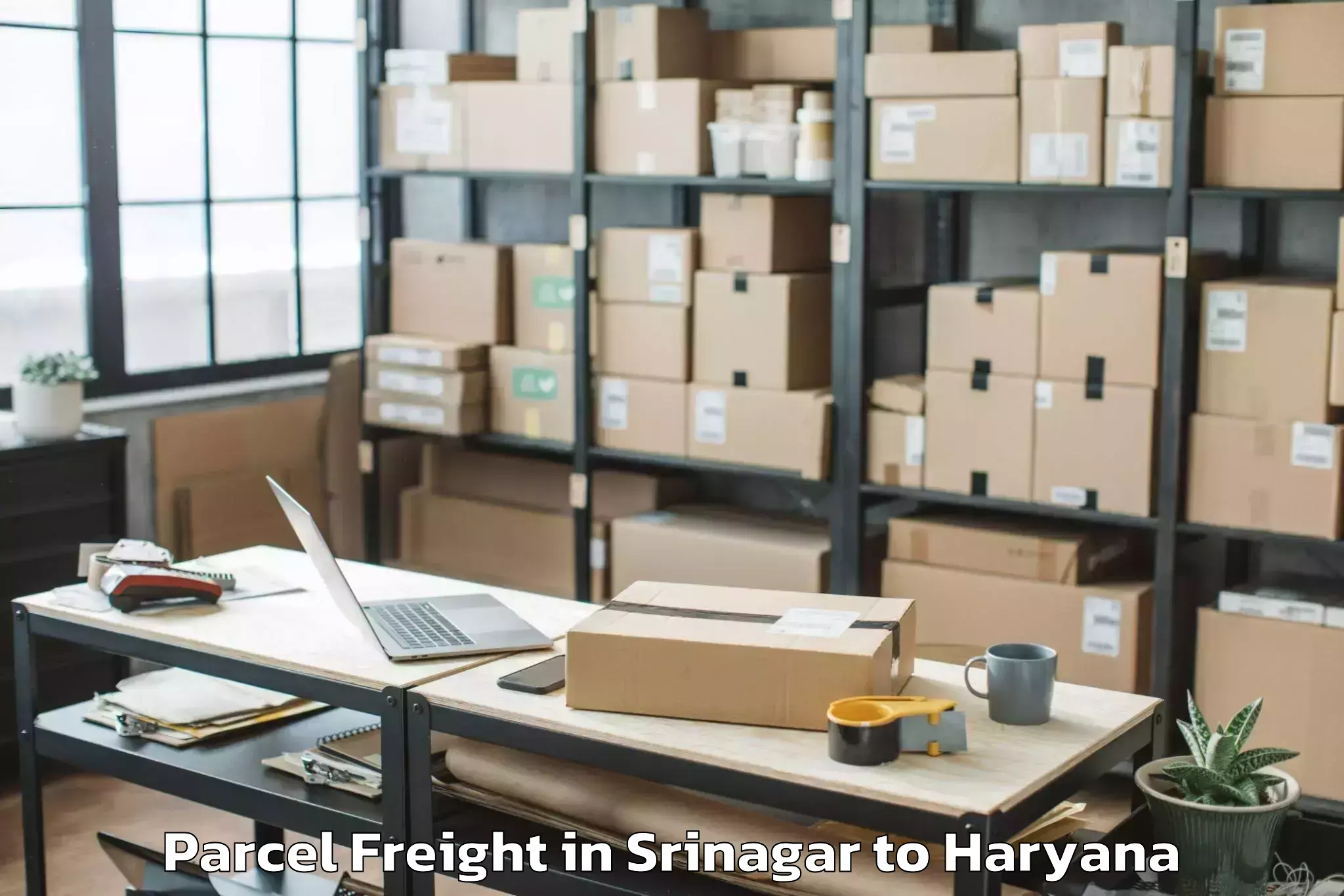 Top Srinagar to Hathin Parcel Freight Available